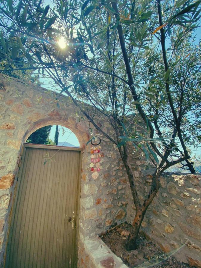 Lemons&Olives Rooms Himarë Exteriér fotografie
